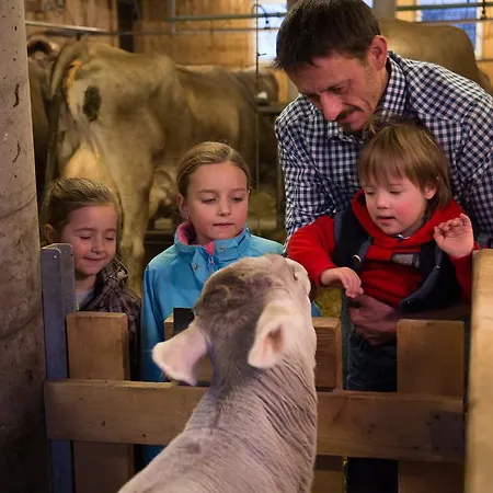 Jokelehof Çiftlik konaklama Au (Bregenz)