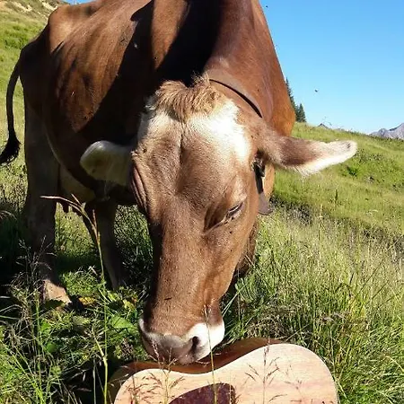 Jokelehof Çiftlik konaklama Au (Bregenz)